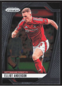 Elliot Anderson, Kartička, 2024-25 Panini Prizm Premier League, BASE