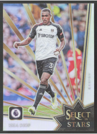 Issa Diop, Kartička, 2023-24 Panini Select Premier League, INSERT