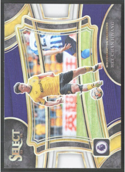 Hee-chan Hwang, Kartička, 2023-24 Panini Select Premier League, Multi-Color