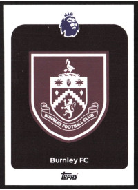 Team Badge, Kartička, Topps Premier League Debute Edition 2026, BASE