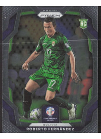 Roberto Fernandez, Kartička, 2023-24 Panini Prizm Copa America, BASE