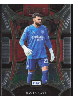 David Raya, Kartička, 2023-24 Panini Select FIFA Soccer, BASE