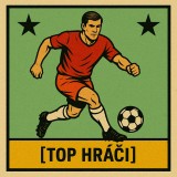 Nejlepší hráči