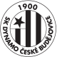 SK Dynamo České Budějovice